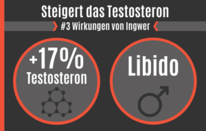 10 Wirkungen Von Ingwer Auf Testosteron Potenz Wissenschaftlich