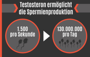 16 Wirkungen von Testosteron Neue Studien 2024 Potenz Tipps Für