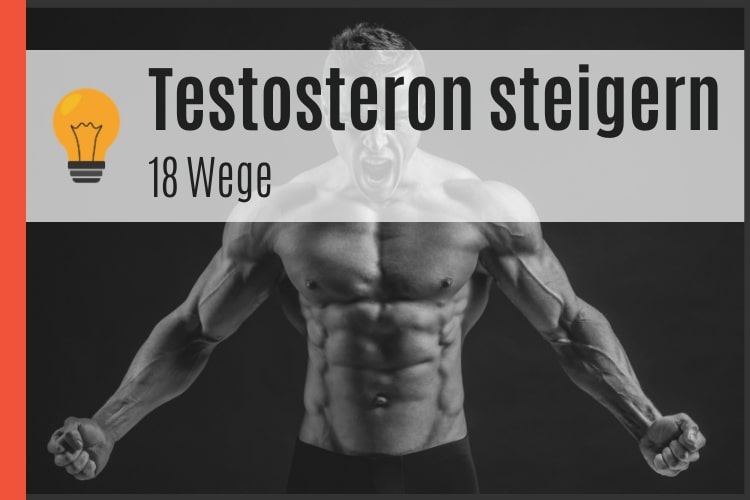 Wie kann man testosteron steigern