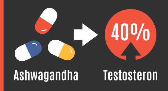 Ashwagandha und Testosteron