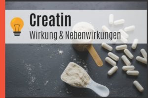 Creatin - Wirkung und Nebenwirkungen von Kreatin