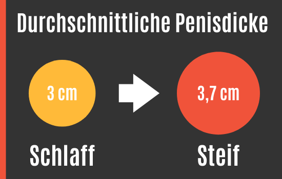Penis deutschland durchschnitt Wie groß