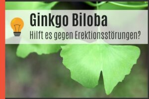 Ginkgo Biloba gegen Erektionsstörungen
