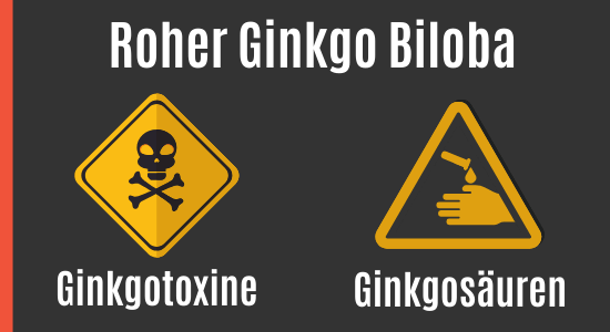 Ist Ginkgo Biloba schädlich