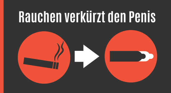 Rauchen verkürzt die Penislänge
