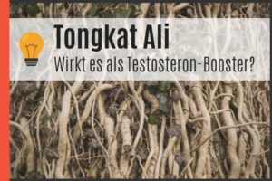 Tongkat Ali als Testosteron-Booster