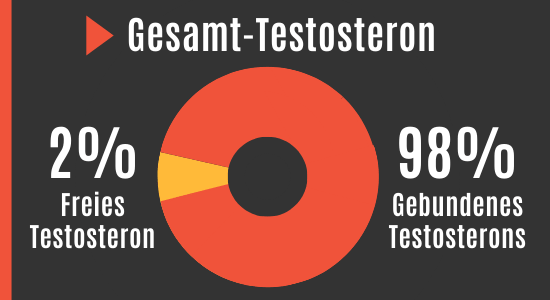 Gesamt-Testosteron besteht aus freiem Testosteron und gebundenem Testosteron