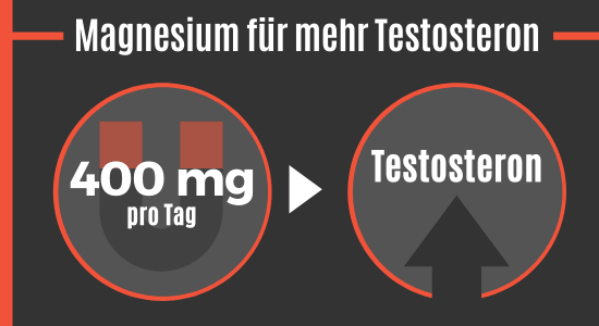 Magnesium kann das Testosteron erhöhen