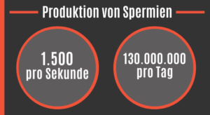 Samenstau - Symptome erkennen & Schmerzen lindern [2024] — Potenz-Tipps ...
