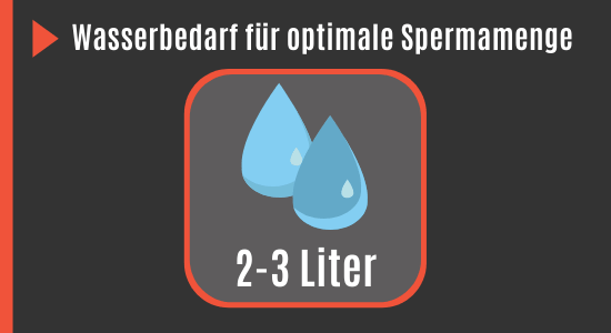 Wassermenge für optimale Spermamenge