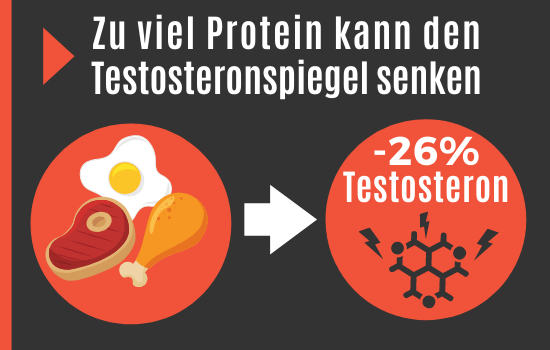 Zu viel Protein kann den Testoteronspiegel senken