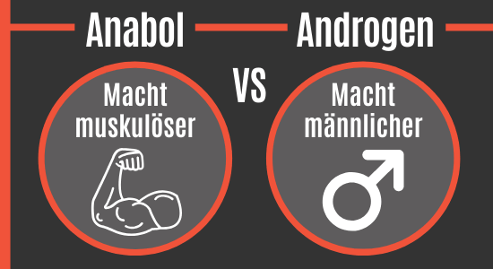 Anabol vs. Androgen