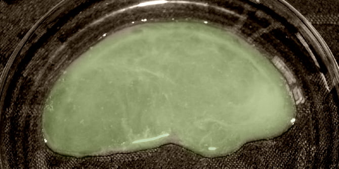 Grünes Sperma