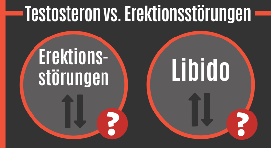 Testosteron vs. Erektionsstörungen