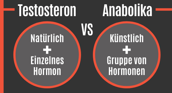 steroide testosteron Mit diesen 5 Tipps wie ein Profi