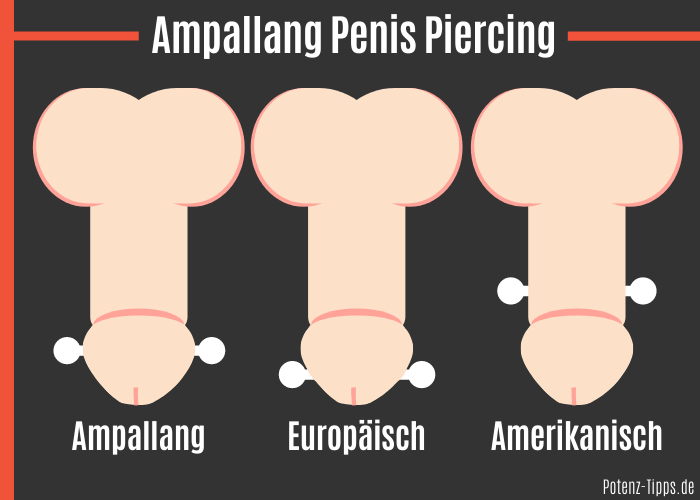 Ampallang Penis Piercing