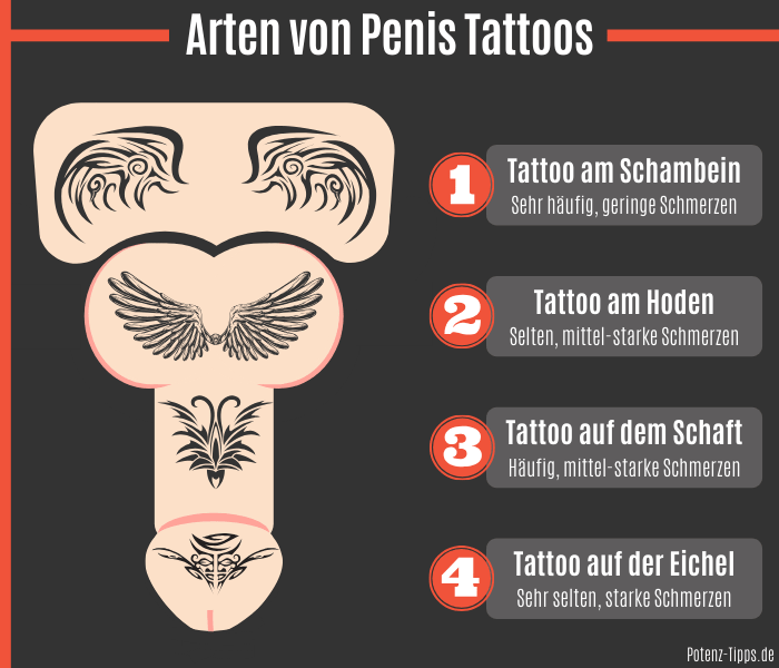 Arten und Schmerzen eines Penis Tattoos
