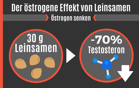 Der östrogene Effekt von Leinsamen