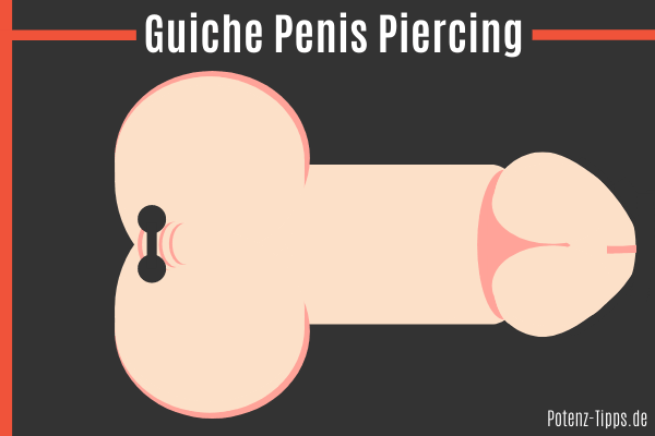 Guiche Penis Piercing