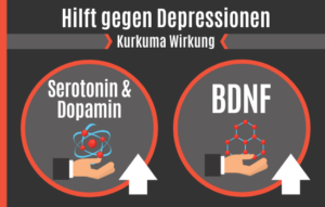 8 Wirkungen Von Kurkuma | Vorteile Bildlich Erklärt [2024] — Potenz ...