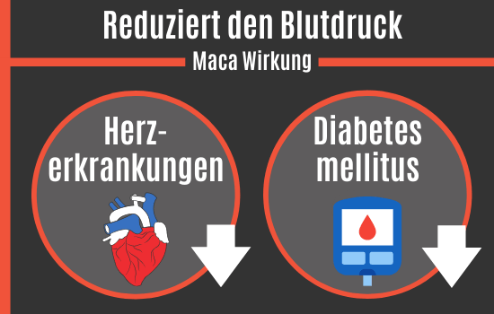 Maca Wirkung - reduziert den Blutdruck