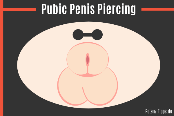 Pubic Penis Piercing