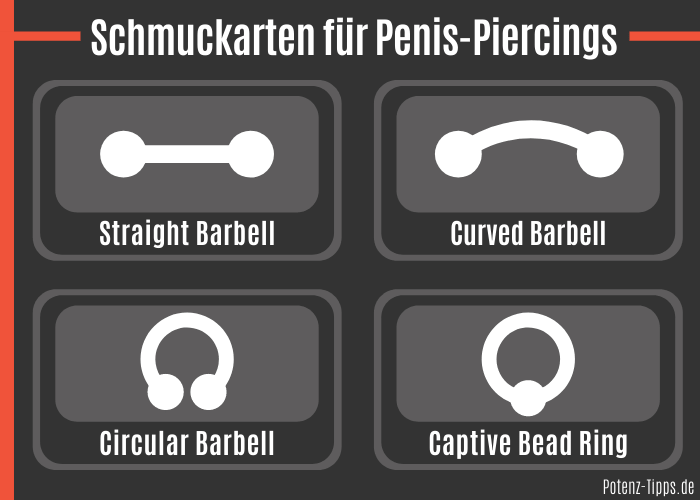 Schmuckarten für Penis-Piercings