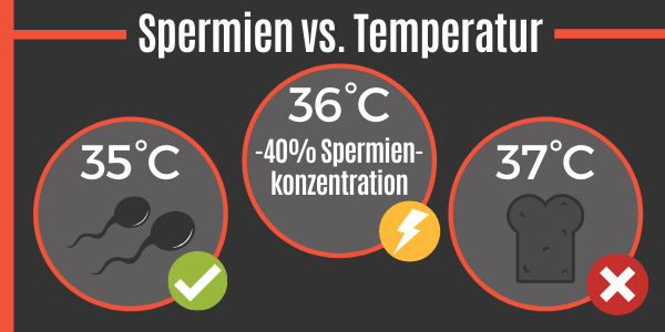 Spermien vs. Temperatur