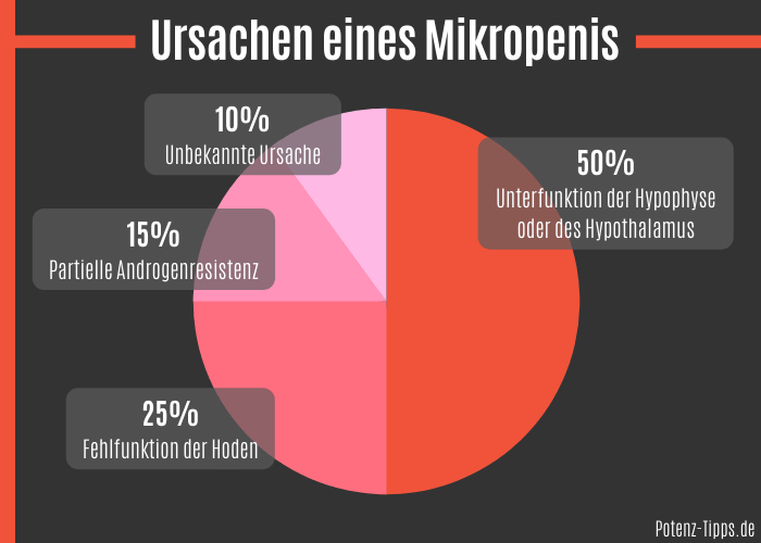 Ursachen eines Mikaropenis