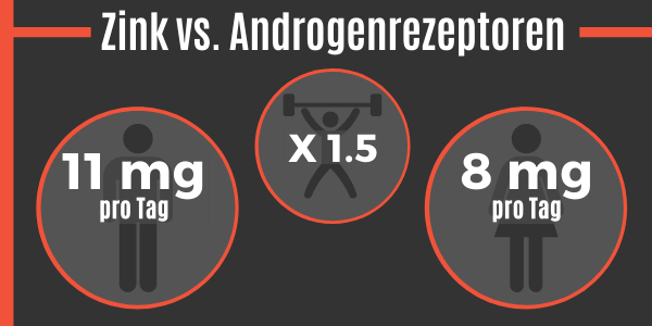 Zink vs. Androgenrezeptoren