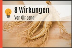 8 Wirkungen von Ginseng