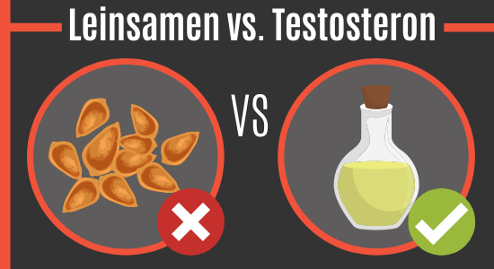 Leinöl vs. Testosteron