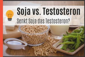 Soja vs. Testosteron - Senkt Soja das Testosteron