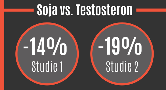 Soja vs. Testosteron - Studien