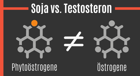 Soja vs. Testosteron