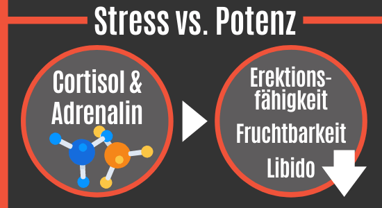 Stress vs. Potenz