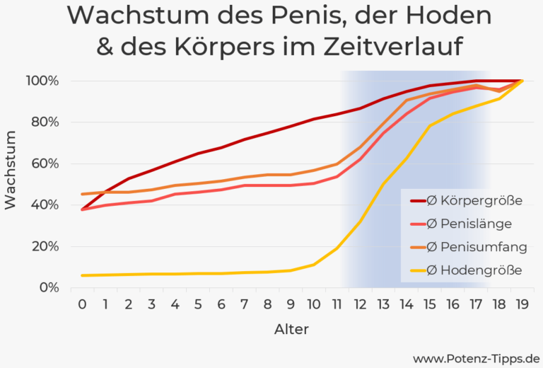 Penis Wachstum Wann hört der Penis auf zu wachsen? Neue Studien 2023 — PotenzTipps Für Männer