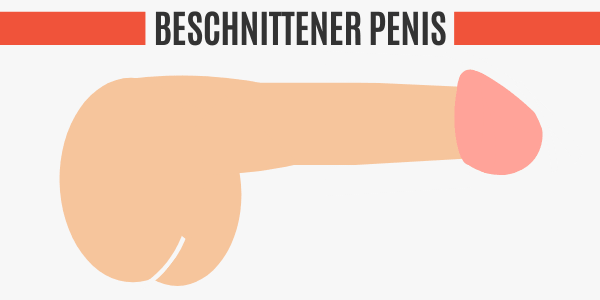 Beschnittener Penis