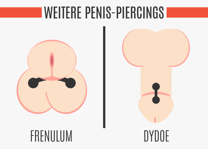 Dydoe Piercing und Frenulum Piercing