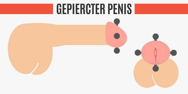 Gepiercter Penis