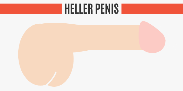Heller Penis