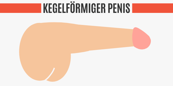 Kegelförmiger Penis