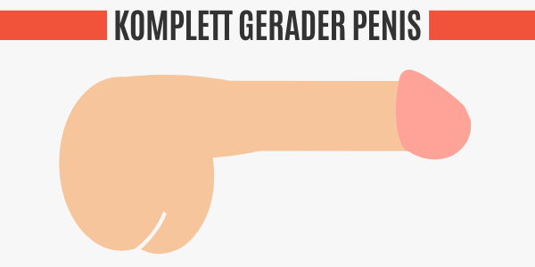 Komplett gerader Penis