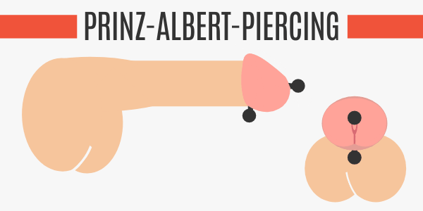 Albert erfahrung prinz piercing genitalpiercing beim