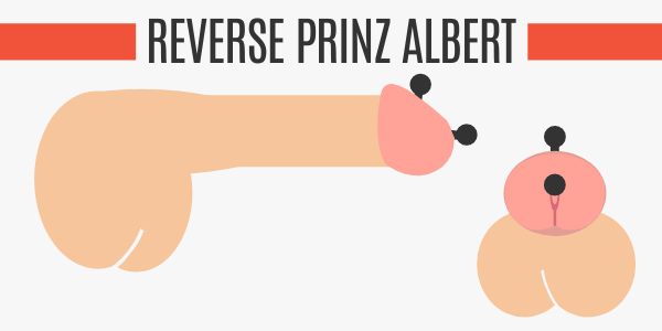 Reverse Prinz Albert Piercing