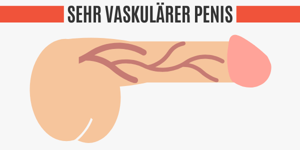 Sehr vaskulärer Penis