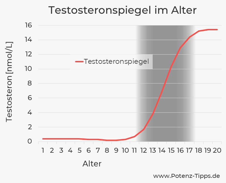 Testosteronmangel im Alter