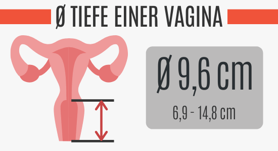 Durchschnittliche Tiefe einer Vagina