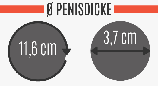 Durchschnitt peni deutscher Penis Länge