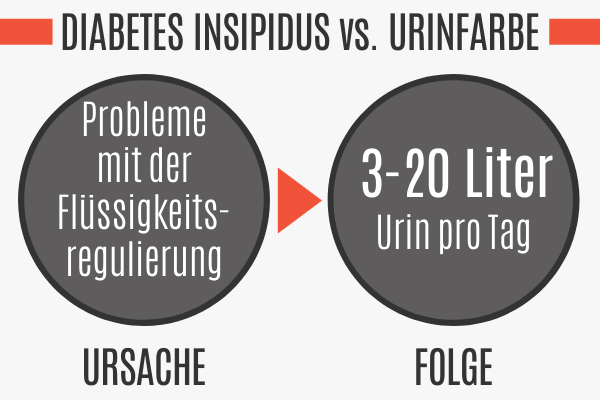 Durchsichtiger Urin durch Diabetes Insipidus